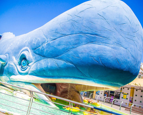 media.Balena_Melodie_al_Parco_Acquatico_Atlantica_Cesenatico_biglietti_ingresso_gratuiti_Vacanze_Club_Family_Hotel